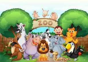 Zoo Trip Info